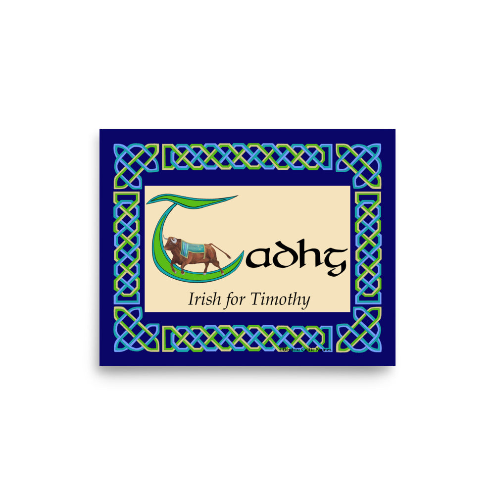 Tadhg (Timothy) - Personalized Irish Language Poster with Irish Name Tadhg and Meaning