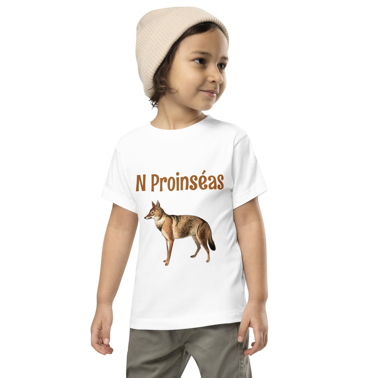 N Proinséas (St Francis) Irish Language Toddler Short Sleeve T-shirt