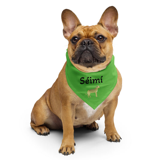 Séimí (Jamie) - Personalized dog bandana with Irish name Séimí (Free Shipping)