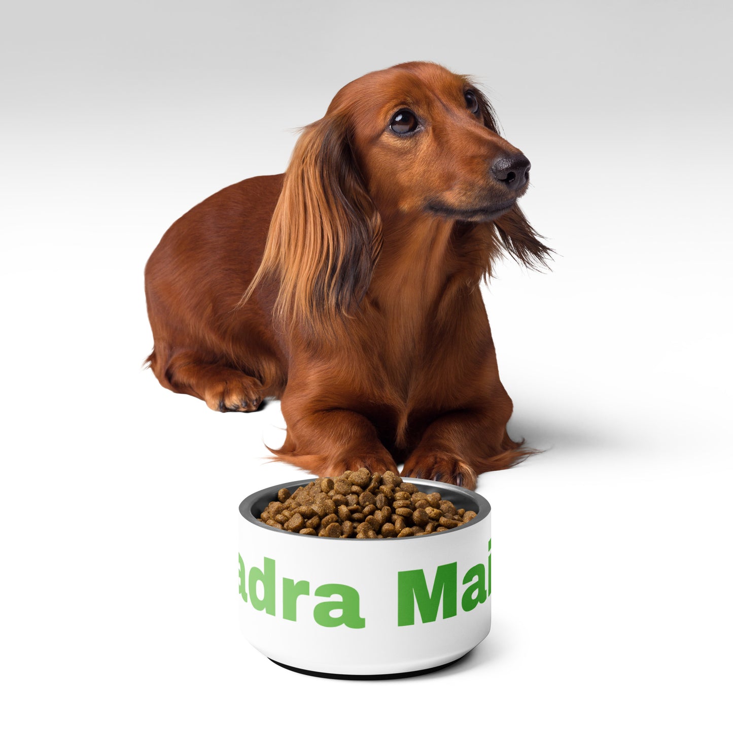 Madra Maith (Good Dog) - Personalized Irish Language Pet bowl