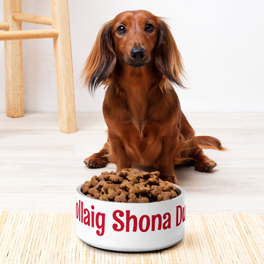 Nollaig Shona Duit (Happy Christmas) Pet Bowl