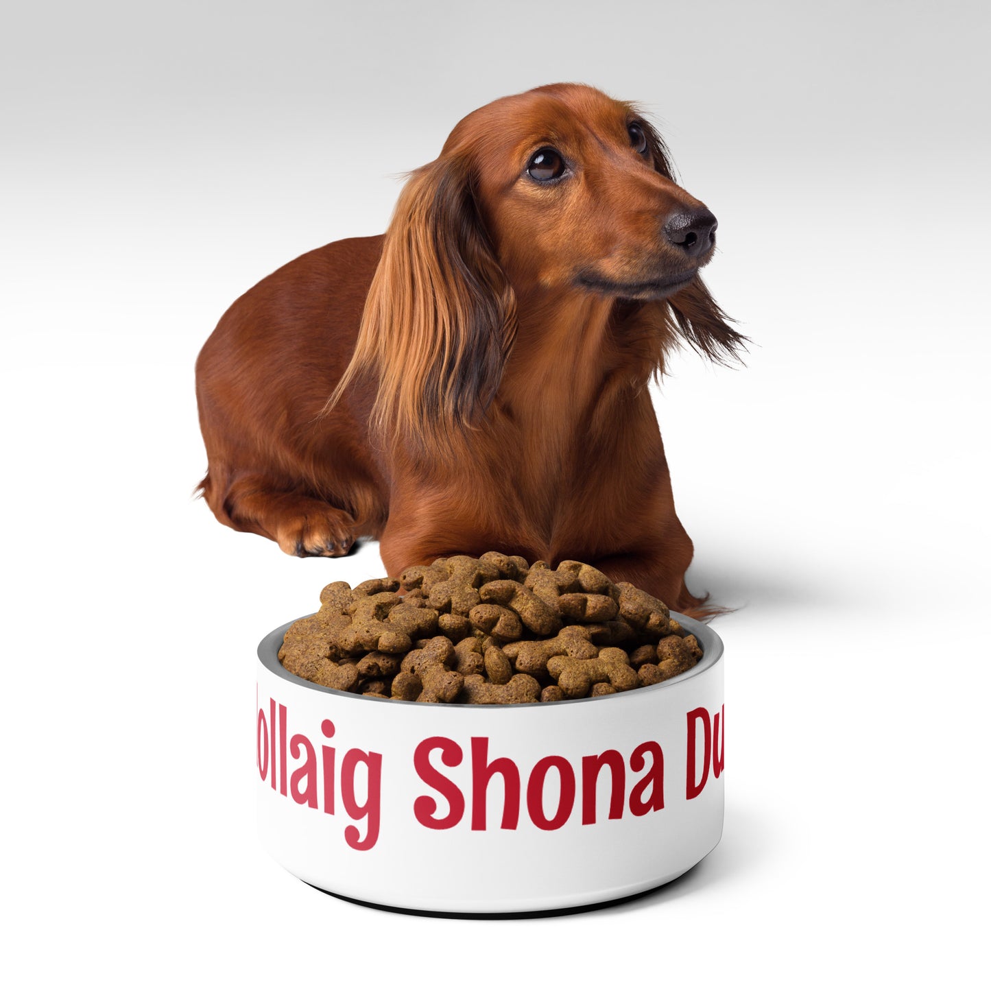 Nollaig Shona Duit (Happy Christmas) Pet Bowl