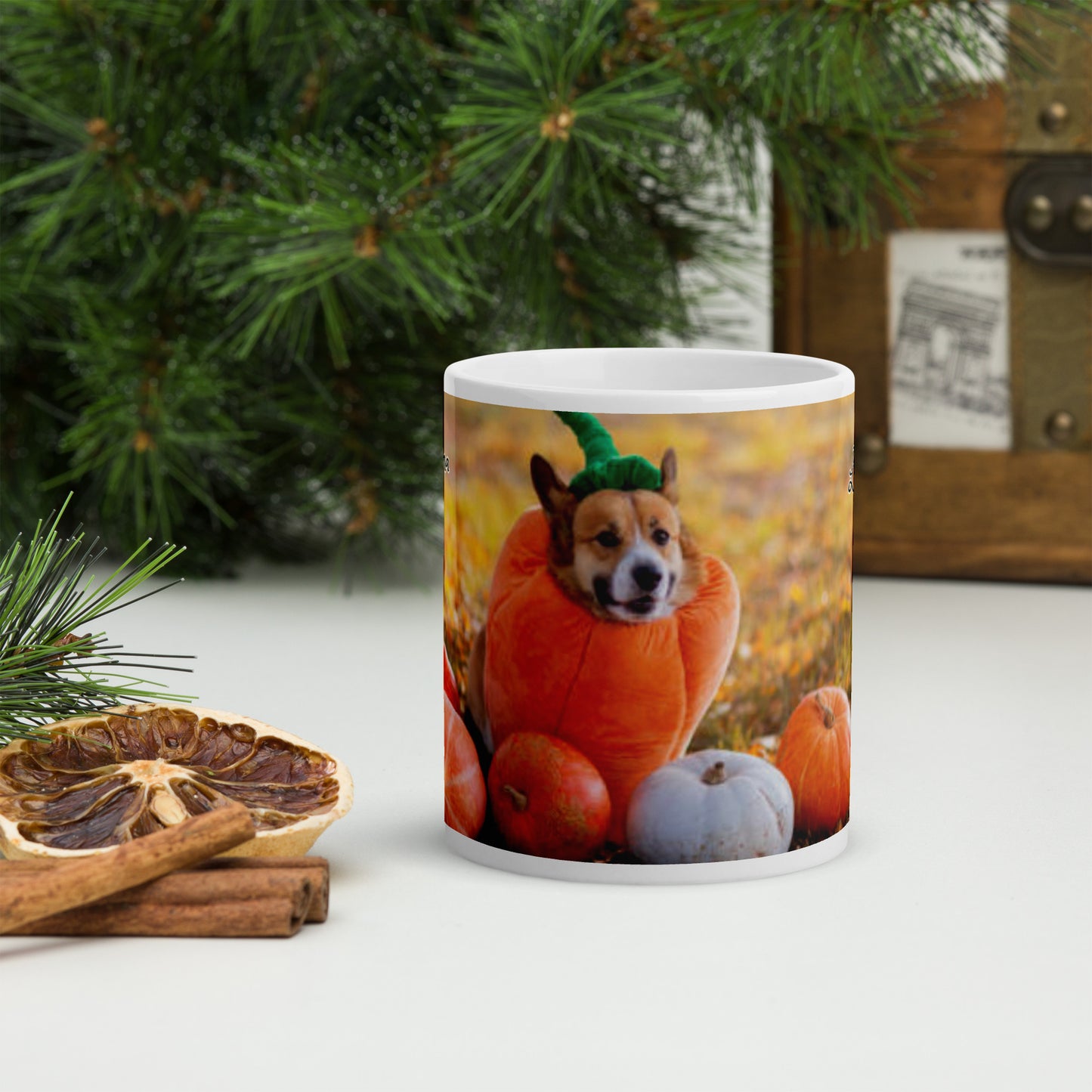 Lá Altaithe Sona (Happy Thanksgiving) Irish Language White Glossy Mug (Dog, Cat and Pumpkin Design)