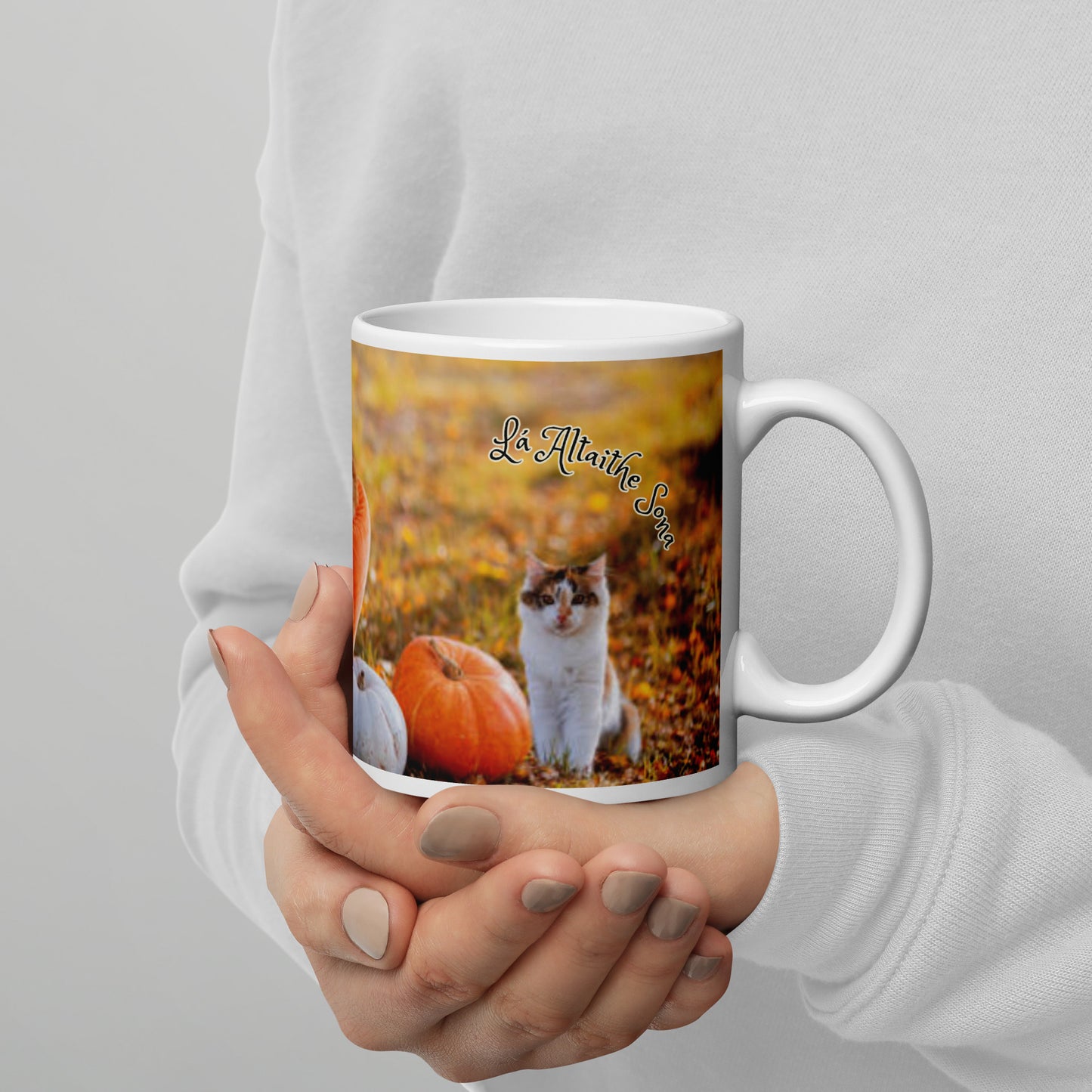 Lá Altaithe Sona (Happy Thanksgiving) Irish Language White Glossy Mug (Dog, Cat and Pumpkin Design)